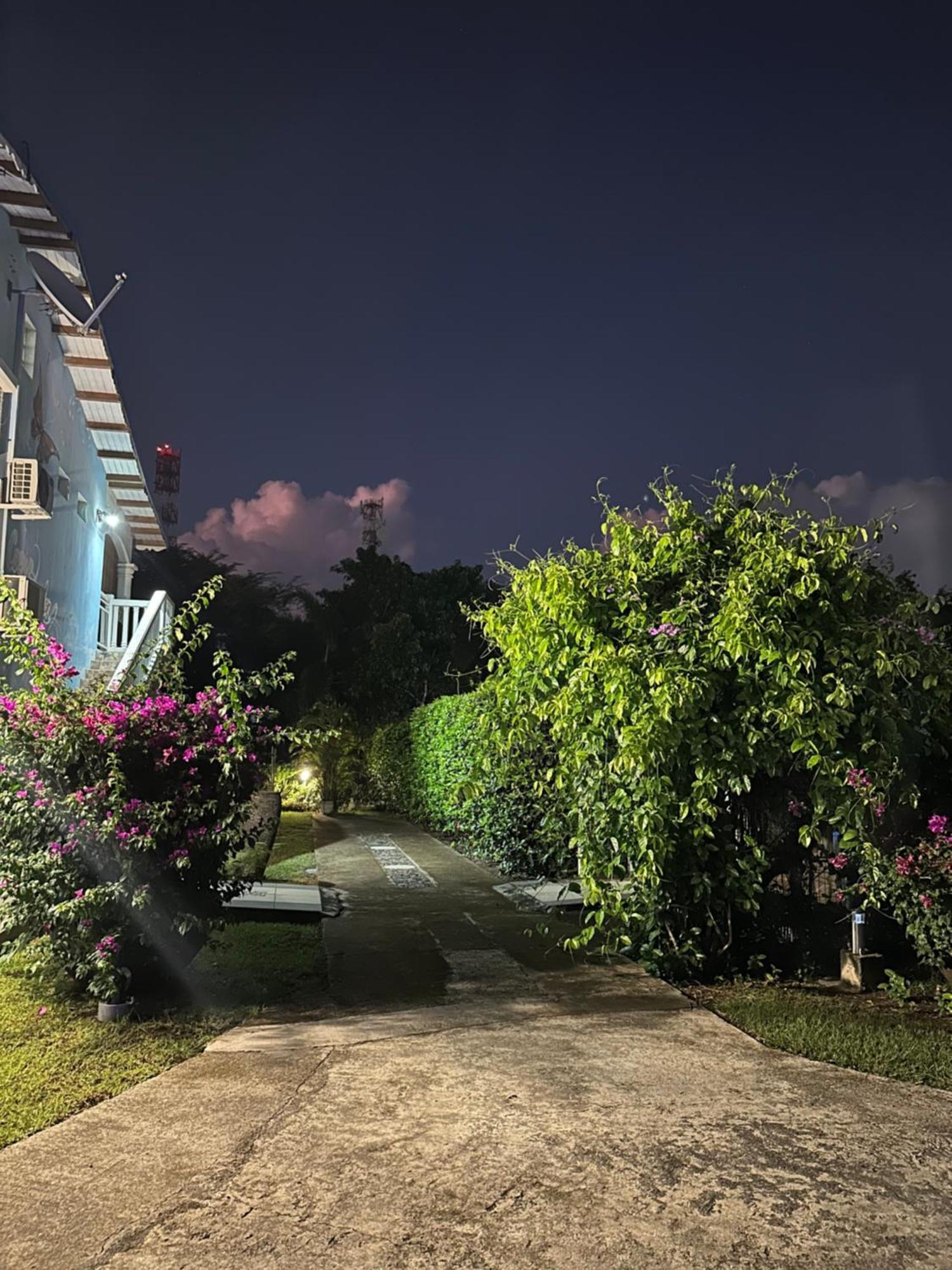 Appartement Coeur De Papillon Baie-Mahault Esterno foto