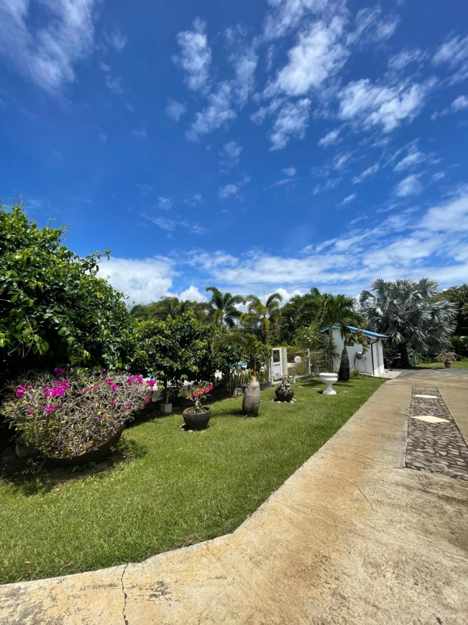 Appartement Coeur De Papillon Baie-Mahault Esterno foto