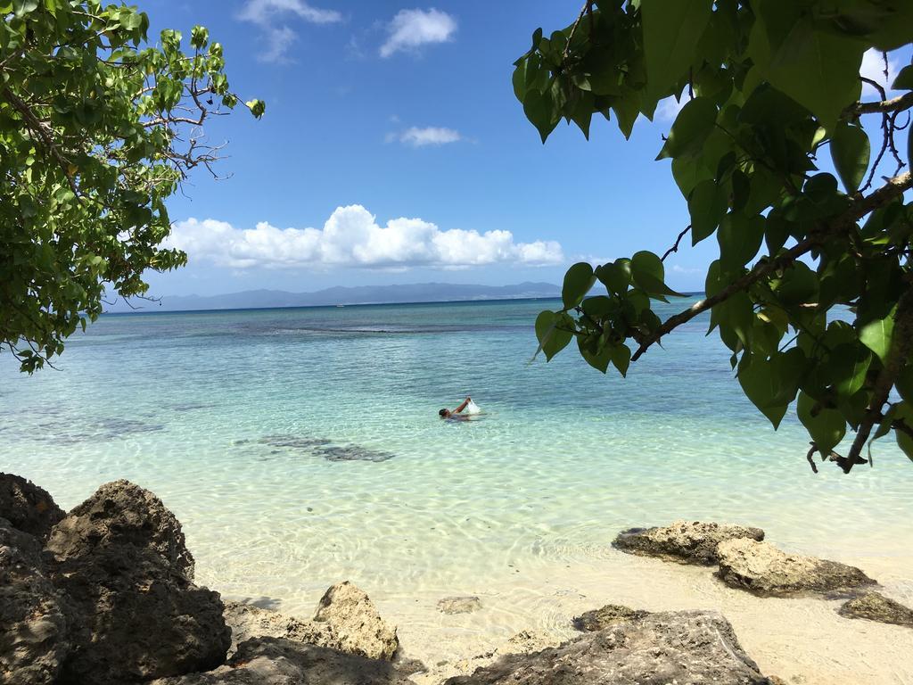 Appartement Coeur De Papillon Baie-Mahault Esterno foto